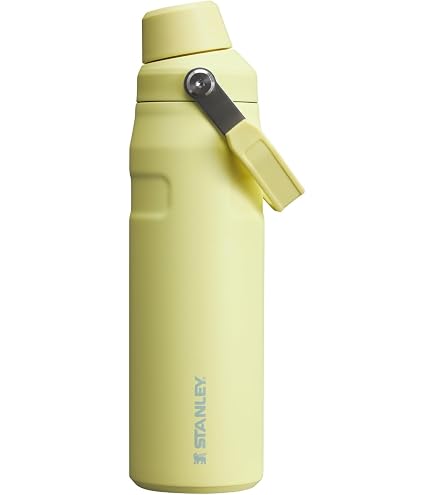 Amazon.co.jp: Stanley (スタンレー) IceFlow ファストフロー